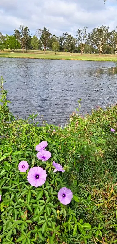 Lilac flowers by a tranquil lake with lush greenery and clear skies.