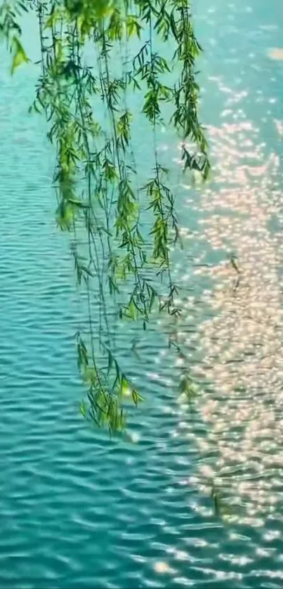 Serene willow branches over a sunlit lake reflecting light.