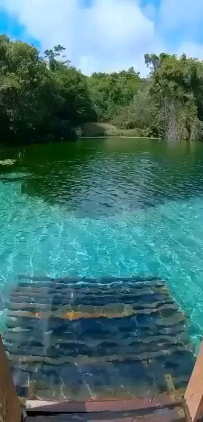 Serene lake with forest backdrop and turquoise water.