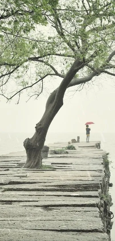 Serene lakeside path with trees and a distant figure under an umbrella.