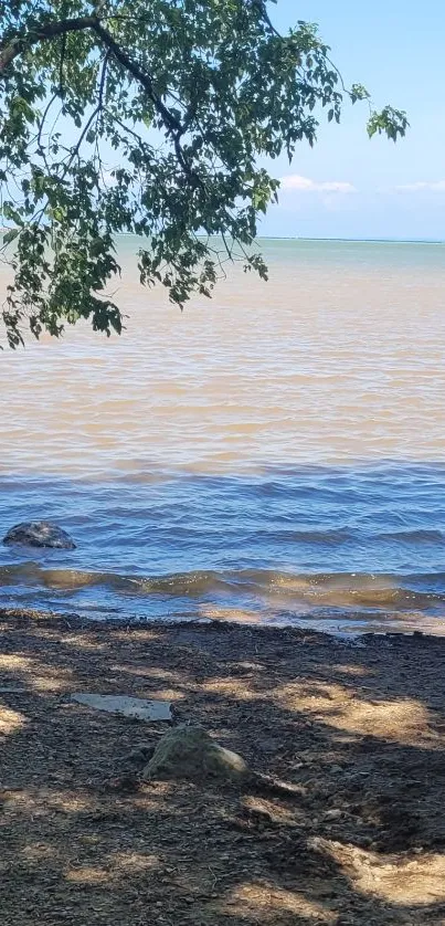 Serene lakeside view with a tree and calm waters, creating a tranquil atmosphere.