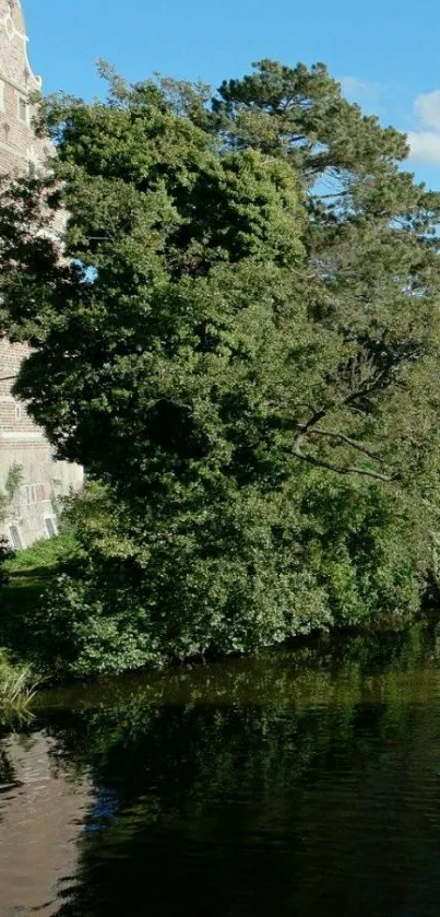 Serene countryside with lush green trees by a calm lake.