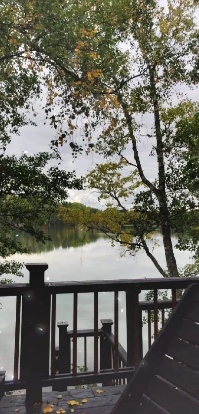 Lakeside view with trees and calm water reflecting the serene natural beauty.