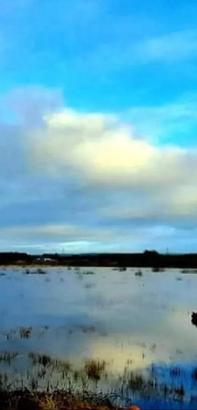 Serene lake reflecting a vibrant blue sky and clouds.