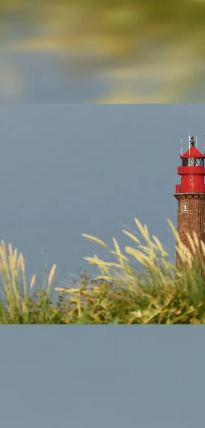 Scenic lighthouse amidst grassy landscape under a gray sky.