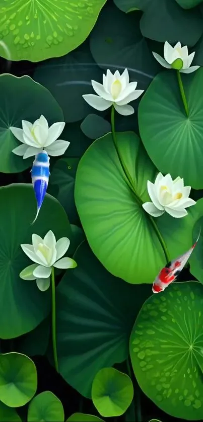 Serene lotus pond with koi fish and white flowers on green lily pads.