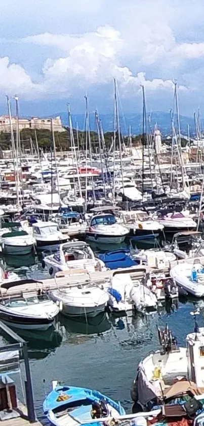 A serene marina filled with boats under a blue sky.