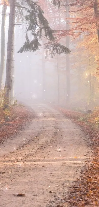 Misty orange forest path surrounded by autumn trees.