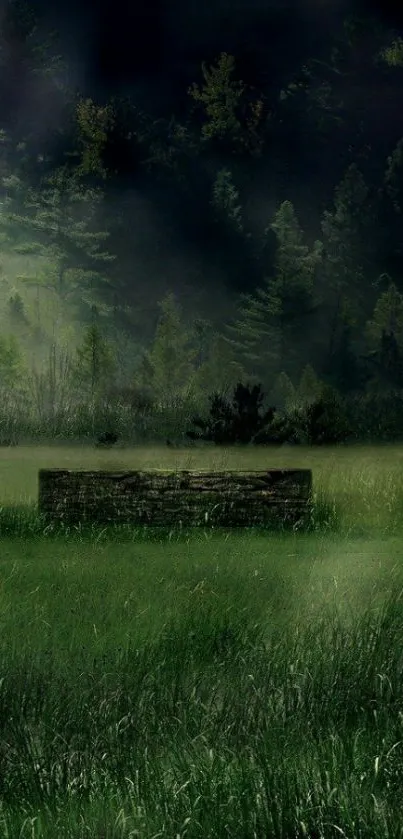 Misty forest with stone structure in lush greenery.