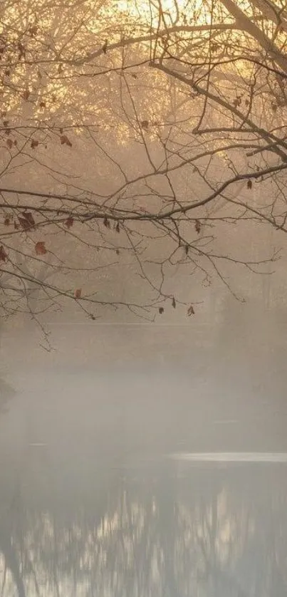 Misty river with autumn trees in soft morning light.