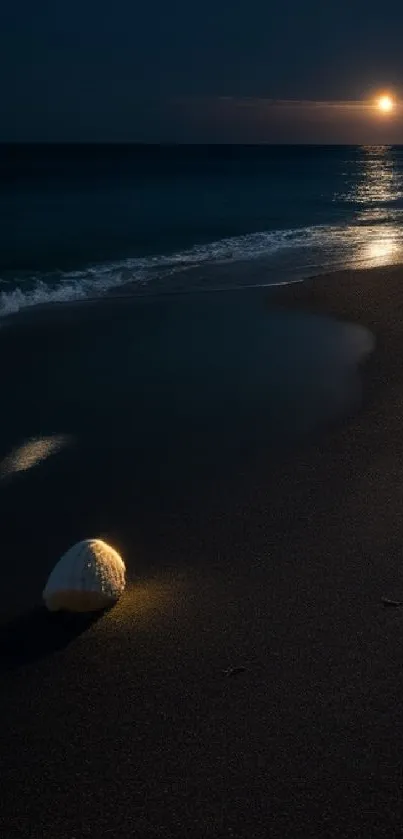 Tranquil beach under moonlight with shell and waves.