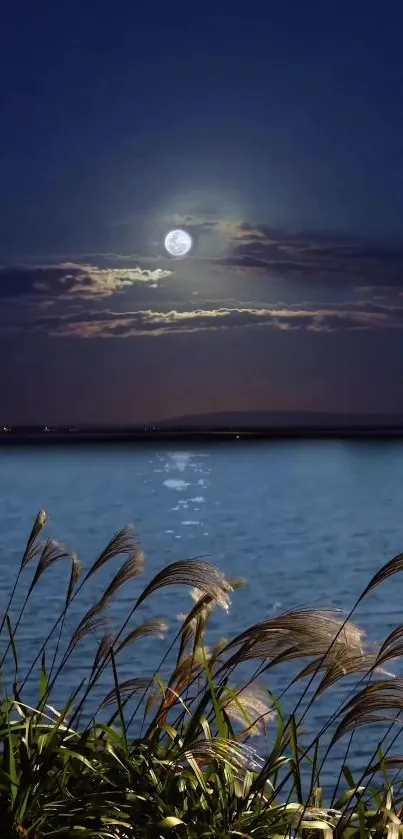 Moonlit lake and serene grasses under a calming night sky.