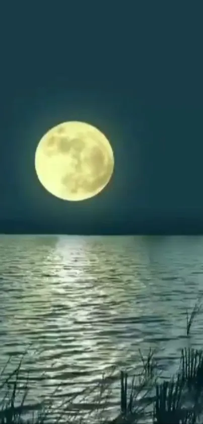 Full moon reflecting on a tranquil lake at night.