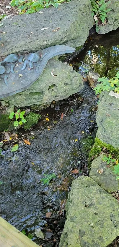 Mossy garden stream with natural stones and greenery.