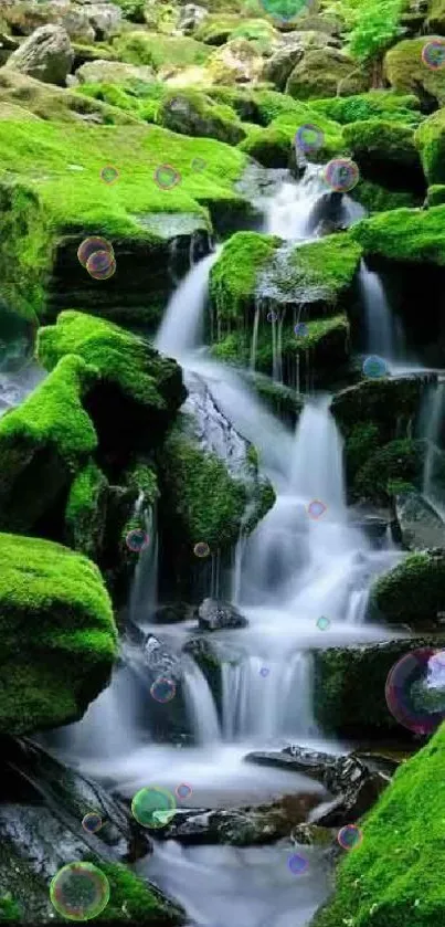 Mossy waterfall cascading through lush green forest scene.