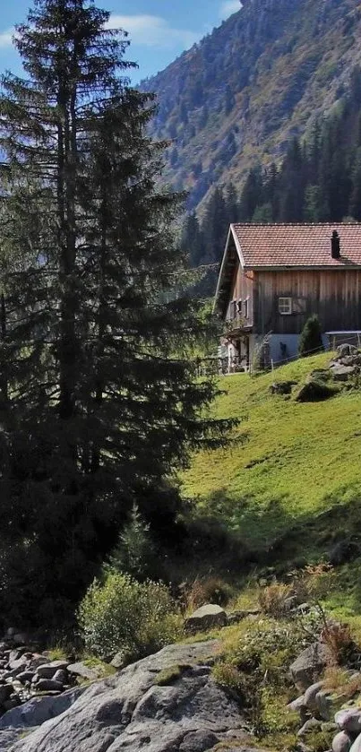 Wooden cabin on lush mountainside with pine trees and blue sky.