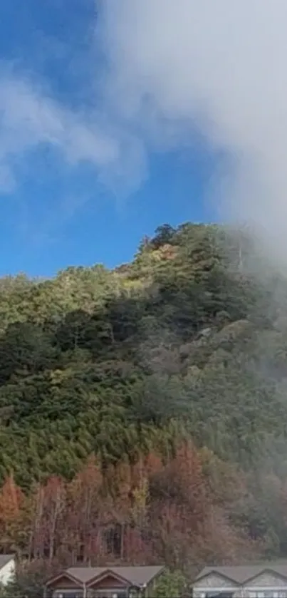 Mountain forest with clouds and blue sky.