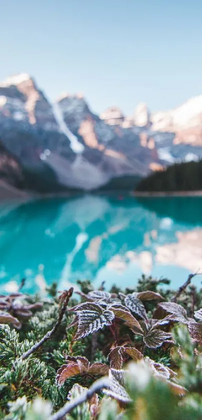 Beautiful turquoise lake with mountain backdrop and lush foreground foliage.