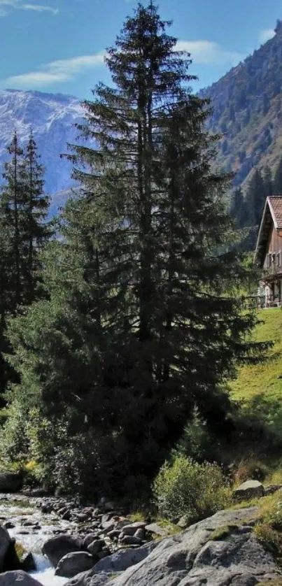 Serene mountain landscape with pine trees and stream.