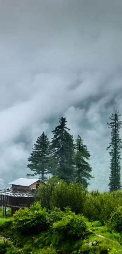 Mountain landscape with cabin and misty forest in the backdrop.