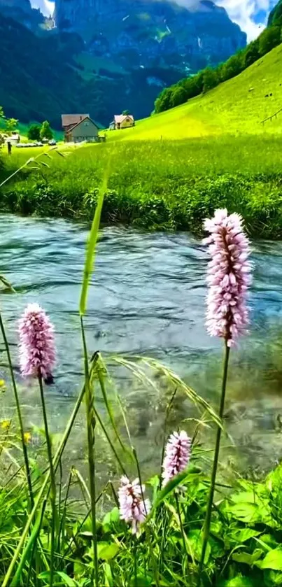 Serene stream with lush greenery and distant mountains.