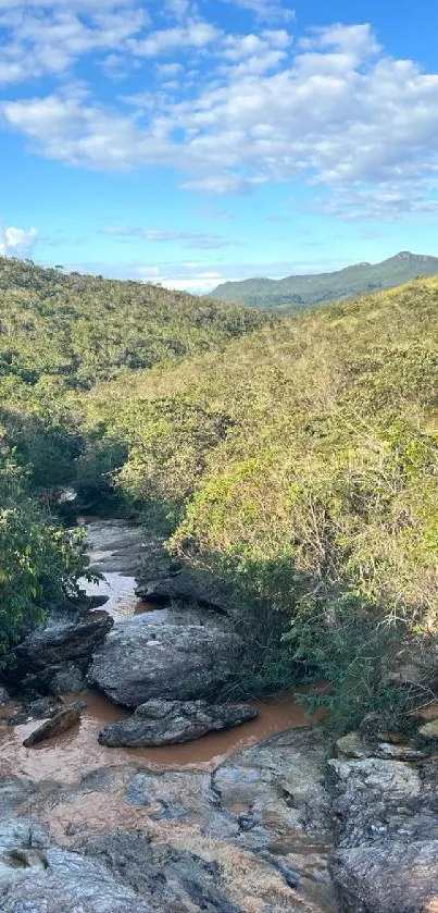 Serene forest stream in a lush mountain landscape with clear blue skies.