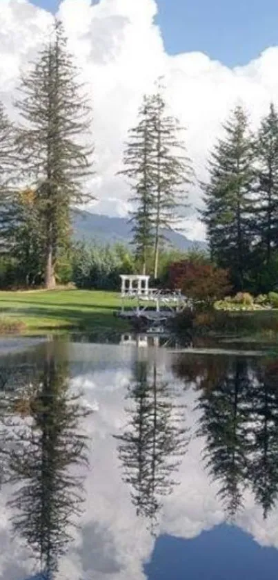 Peaceful nature scene with trees reflected in a pond.