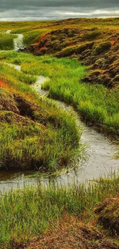 Tranquil nature stream with lush greenery and a moody sky.