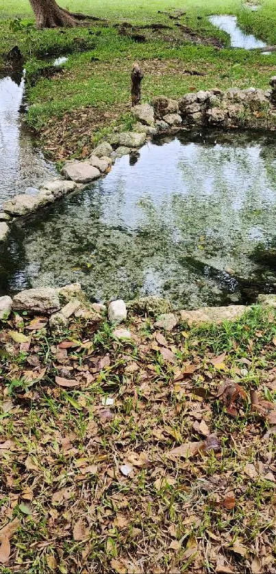 Serene stream in a lush green park setting.