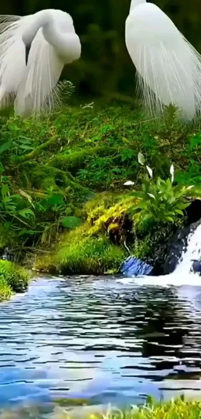 Nature stream with lush greenery and mystical birds.