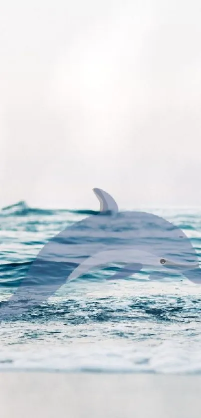 Serene ocean scene with dolphin and light blue water.