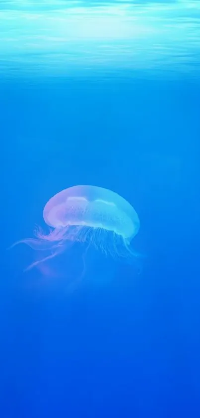 Underwater scene with a jellyfish in a tranquil blue ocean.