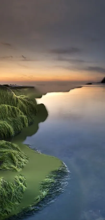 Tranquil sunset over ocean with green coastline.