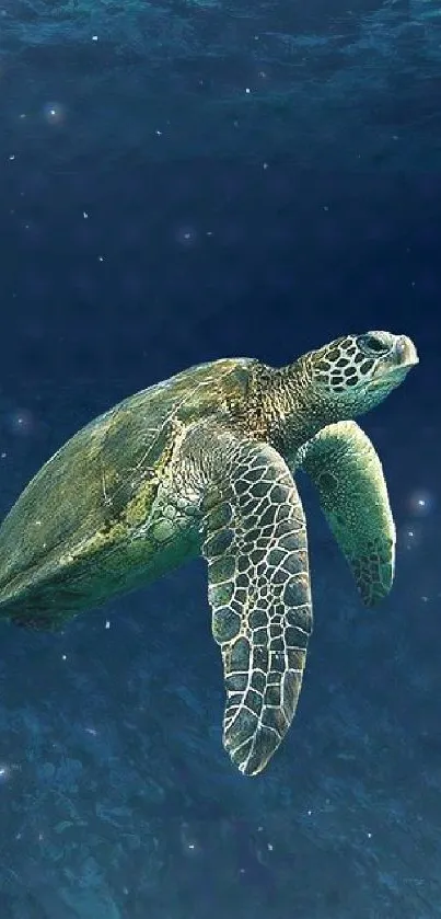 A sea turtle gracefully swims through deep blue ocean waters, creating a serene scene.