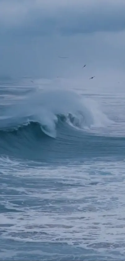 Calming ocean wave with sky view.