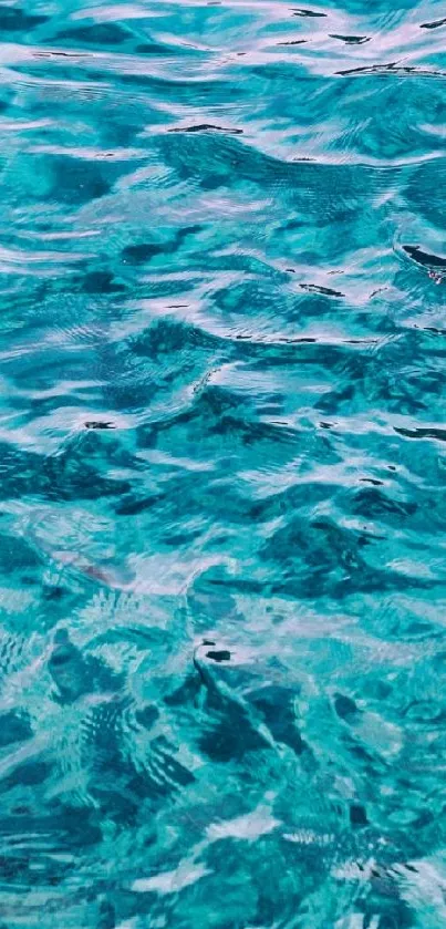 Turquoise ocean waves creating a serene mobile wallpaper.