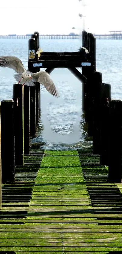 Serene pier and seagull over calm ocean waters.