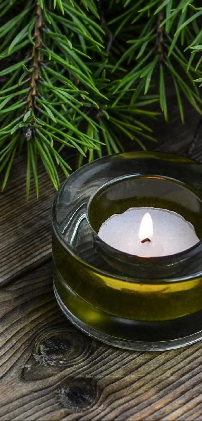 Serene mobile wallpaper with candle and pine branches on wood background.