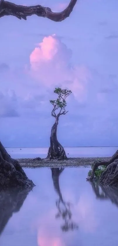 Purple sunset with tranquil reflections in nature.