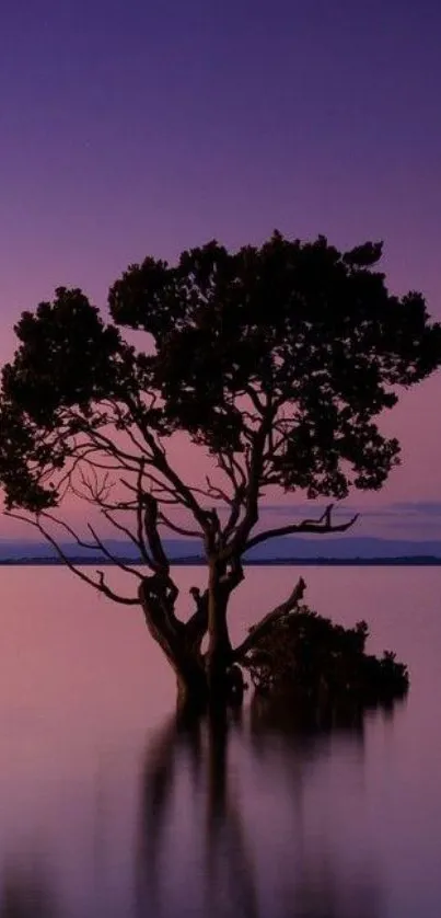 Serene purple sunset with a lone tree reflecting in calm waters.