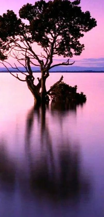 Serene purple tree reflecting in calm waters at dusk.