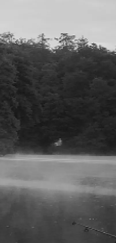 Black and white river scene with mist and trees in the early morning.