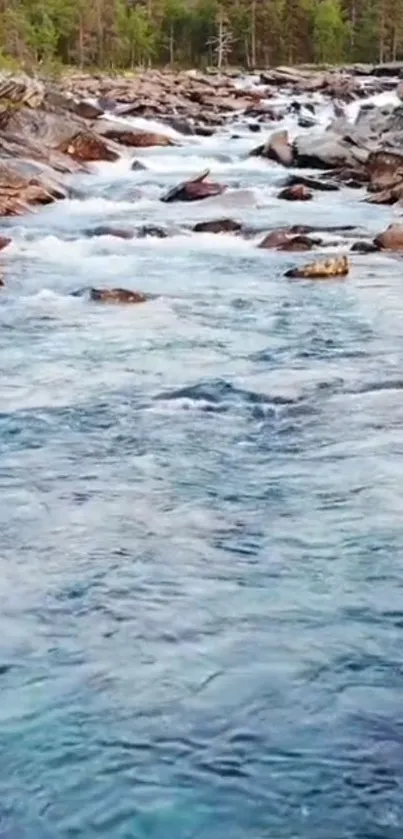 Crystal-clear river flowing over rocks in a serene natural setting.