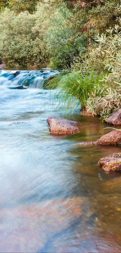 Serene river flowing with lush greenery and rocks in a tranquil setting.