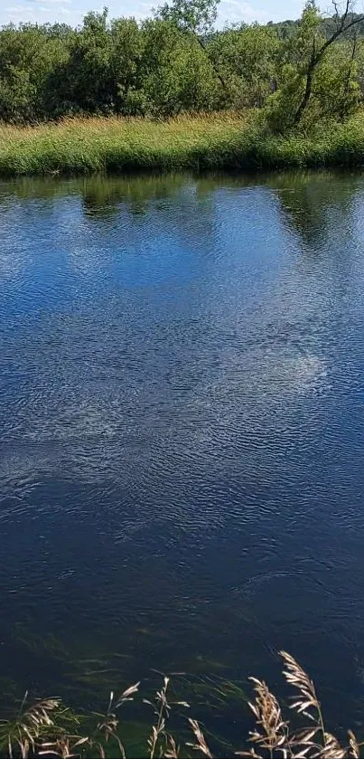 Serene river landscape with lush greenery and reflective blue water.