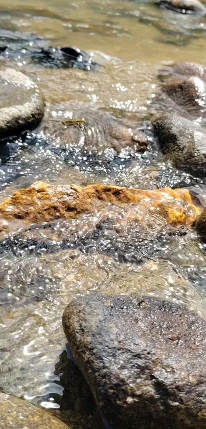 Calm river flowing over smooth stones in nature.