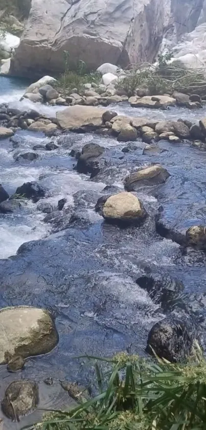 Serene river stream surrounded by rocks and greenery.