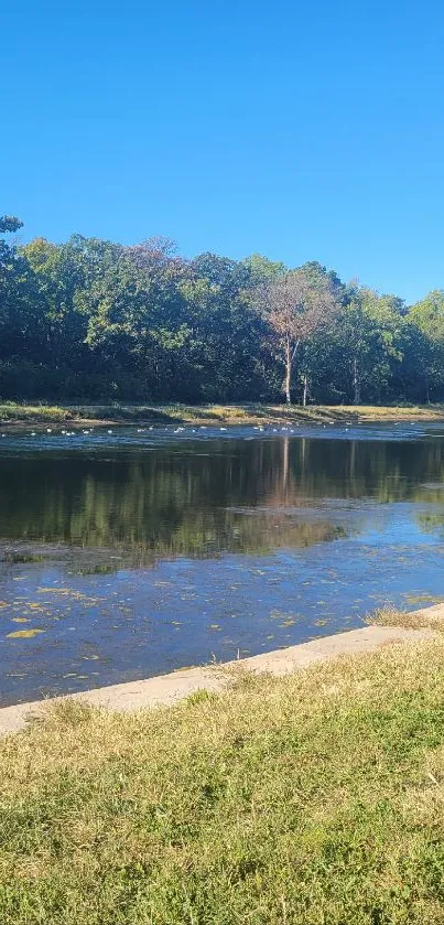 Serene river with lush greenery under a clear blue sky.