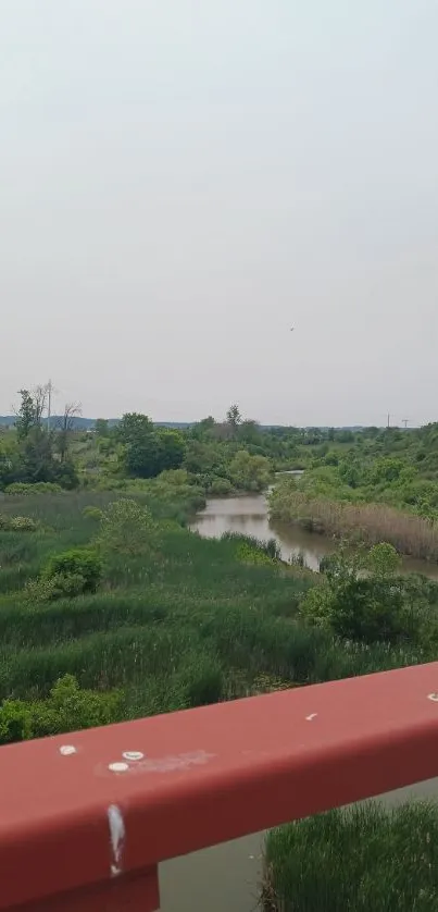 Tranquil riverside landscape under clear sky.