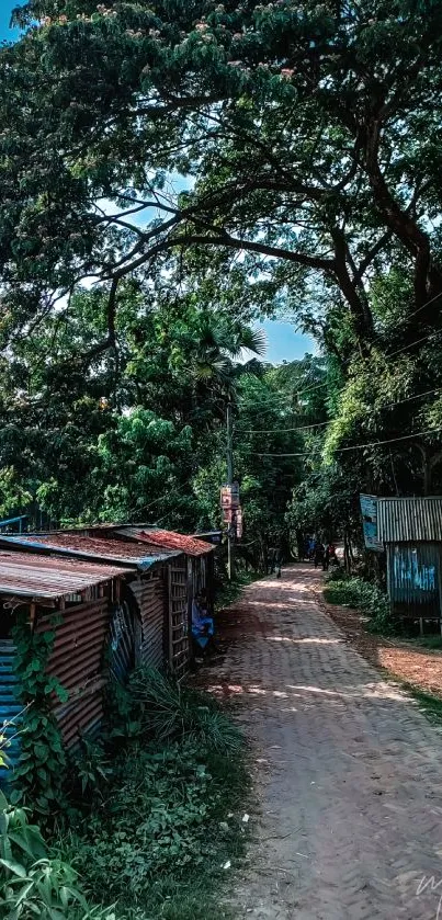 A tranquil rural pathway with lush greenery under a clear sky.